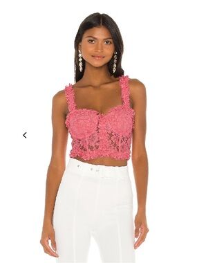 NBD Sylvia Bustier Top